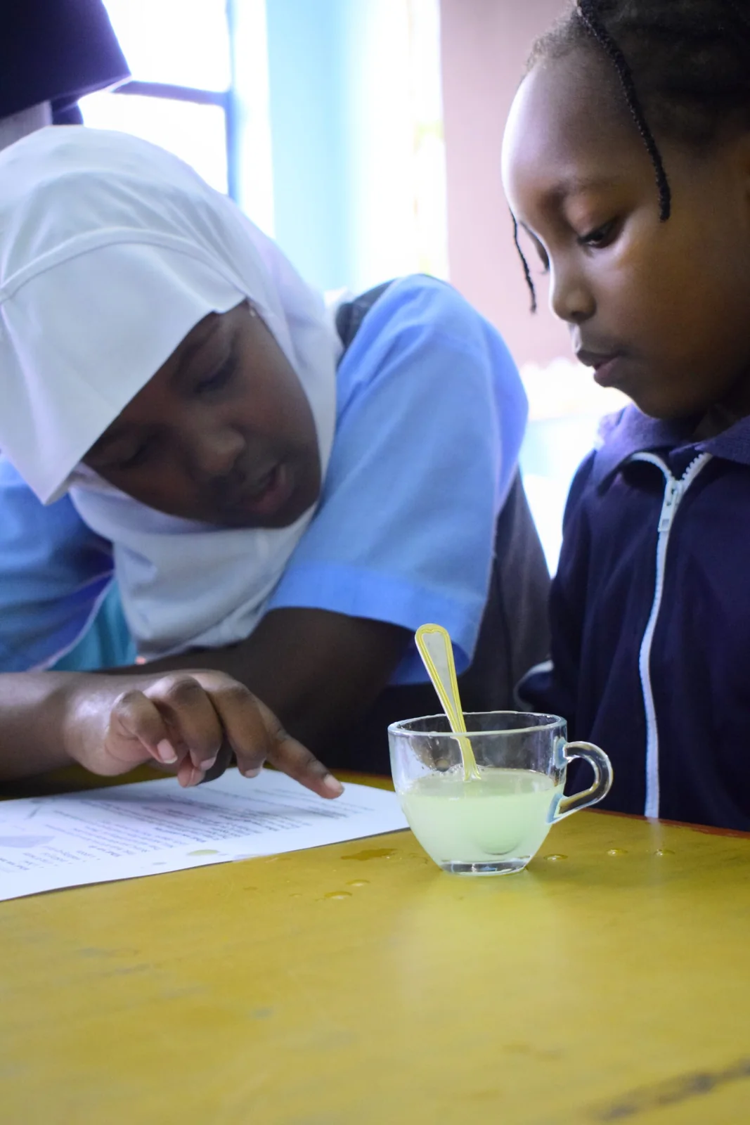 Collaborative Learning in Avecina Classrooms